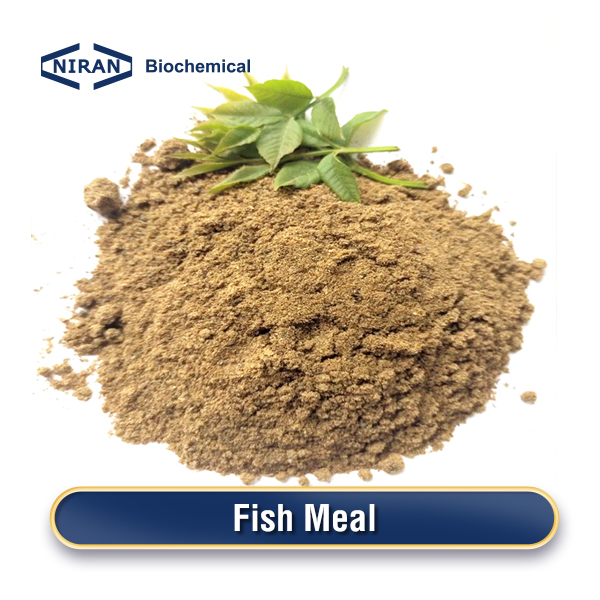 Fish Meal